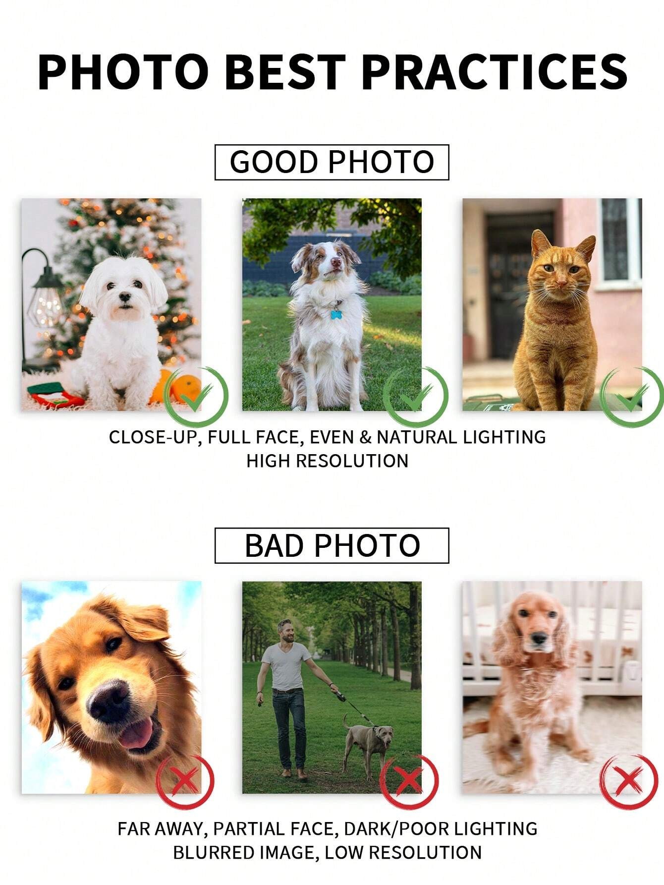 Индивидуальная фоторамка с акв – обзор и цена Pet Portrait Custom